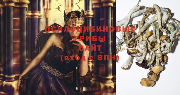 трава Алзамай