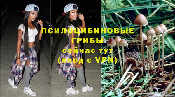 a pvp Алексин