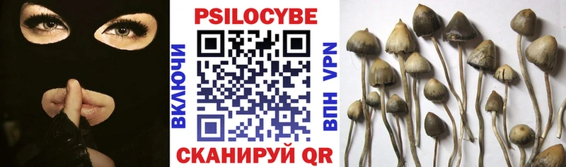 ОМГ ОМГ как зайти  Якутск  Псилоцибиновые грибы мицелий  наркотики 